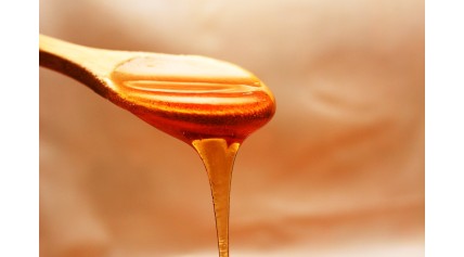 Il miele: proprietà, benefici e caratteristiche 